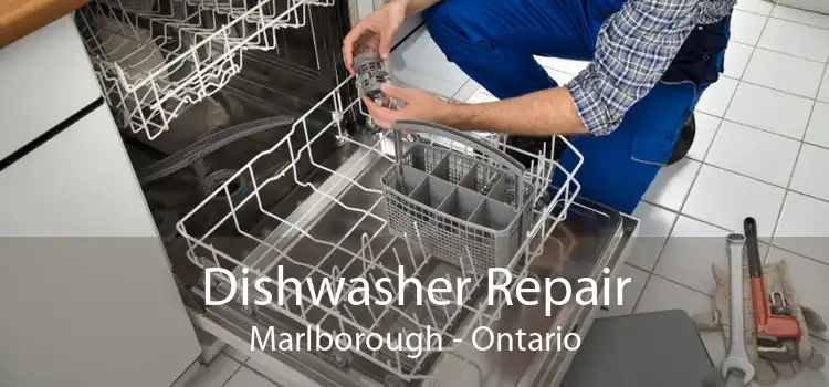 Dishwasher Repair Marlborough - Ontario