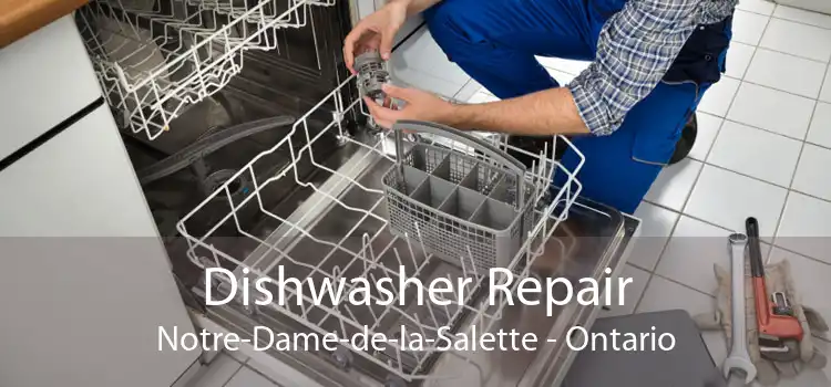 Dishwasher Repair Notre-Dame-de-la-Salette - Ontario