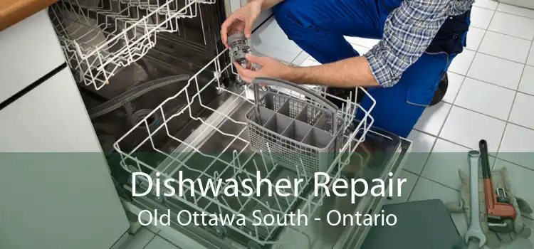 Dishwasher Repair Old Ottawa South - Ontario
