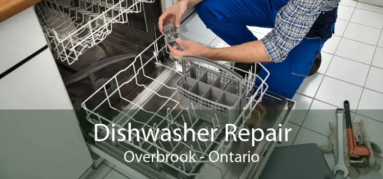 Dishwasher Repair Overbrook - Ontario
