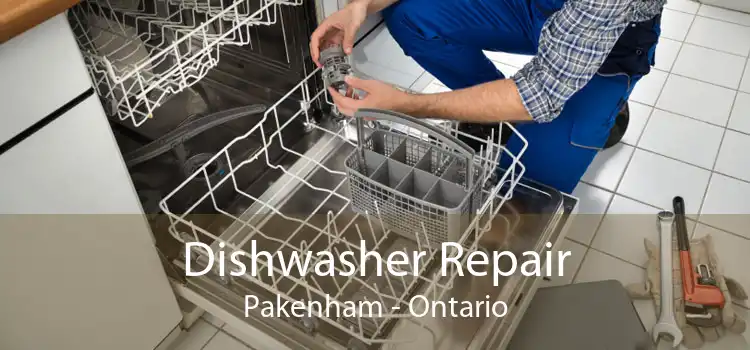 Dishwasher Repair Pakenham - Ontario