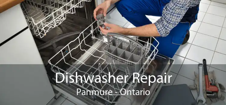 Dishwasher Repair Panmure - Ontario