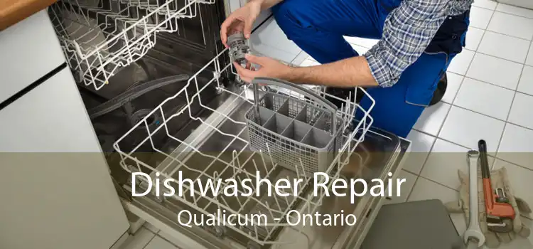 Dishwasher Repair Qualicum - Ontario