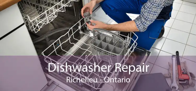 Dishwasher Repair Richelieu - Ontario