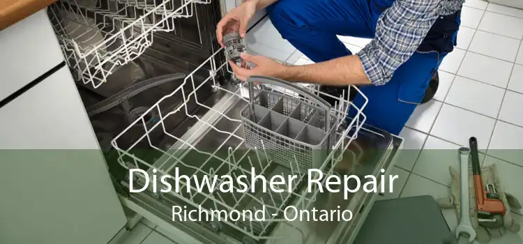 Dishwasher Repair Richmond - Ontario