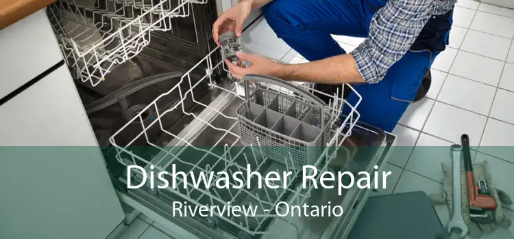 Dishwasher Repair Riverview - Ontario