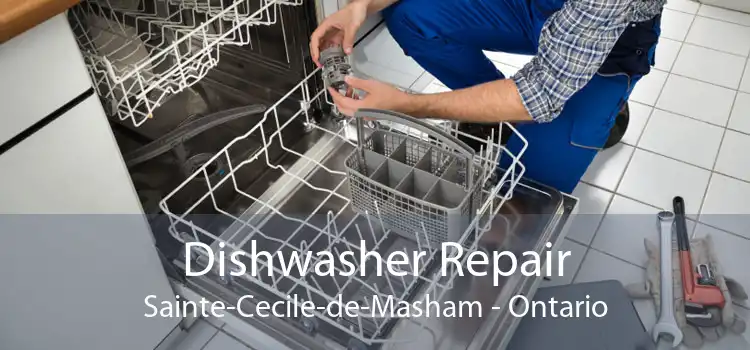 Dishwasher Repair Sainte-Cecile-de-Masham - Ontario
