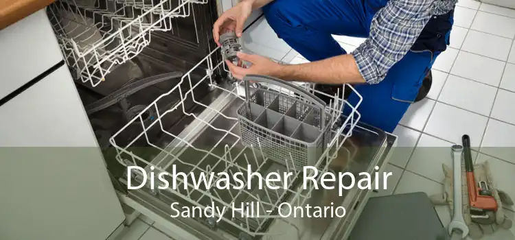 Dishwasher Repair Sandy Hill - Ontario