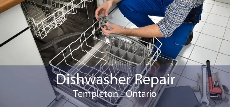 Dishwasher Repair Templeton - Ontario