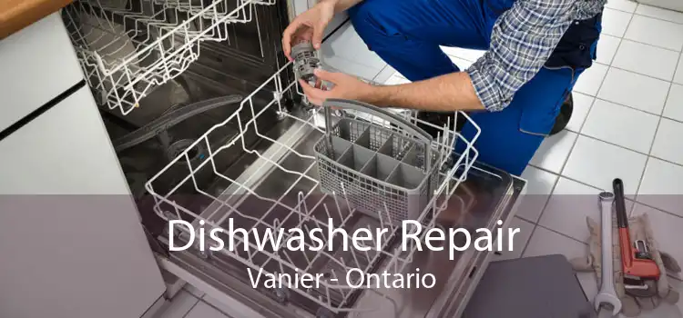 Dishwasher Repair Vanier - Ontario