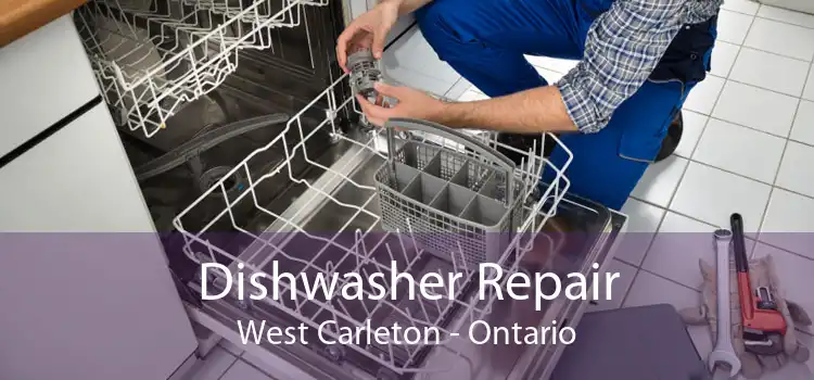 Dishwasher Repair West Carleton - Ontario