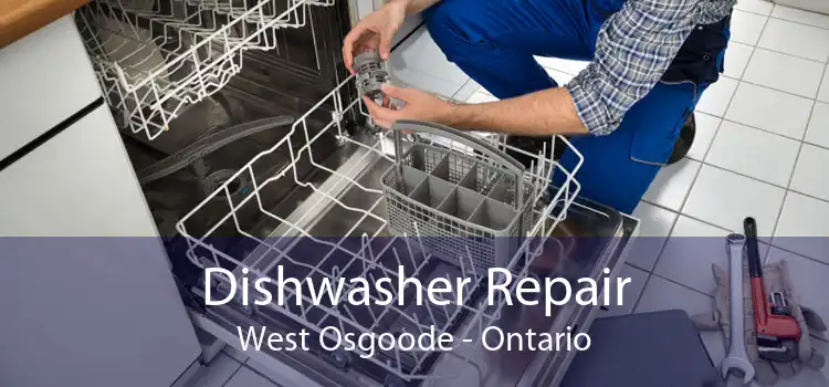 Dishwasher Repair West Osgoode - Ontario
