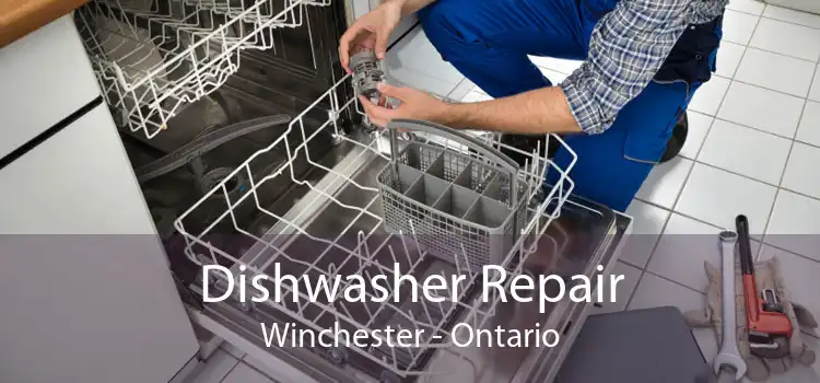 Dishwasher Repair Winchester - Ontario