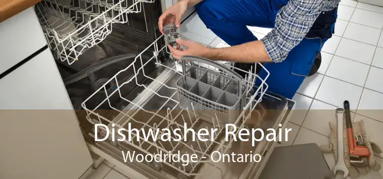 Dishwasher Repair Woodridge - Ontario