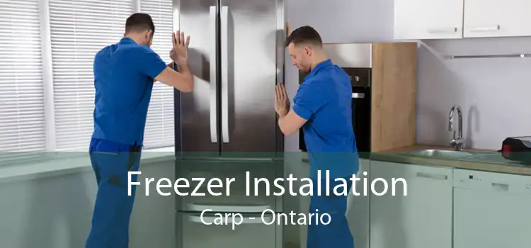 Freezer Installation Carp - Ontario