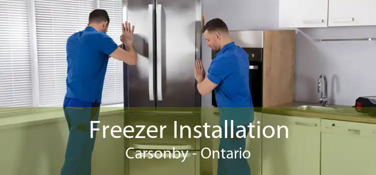 Freezer Installation Carsonby - Ontario