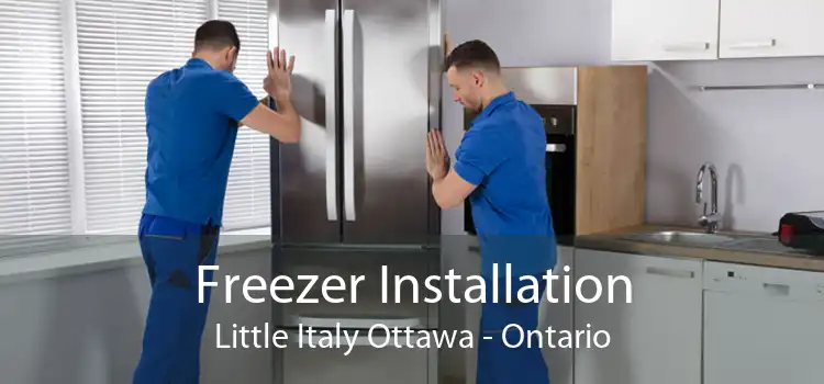 Freezer Installation Little Italy Ottawa - Ontario