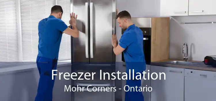 Freezer Installation Mohr Corners - Ontario