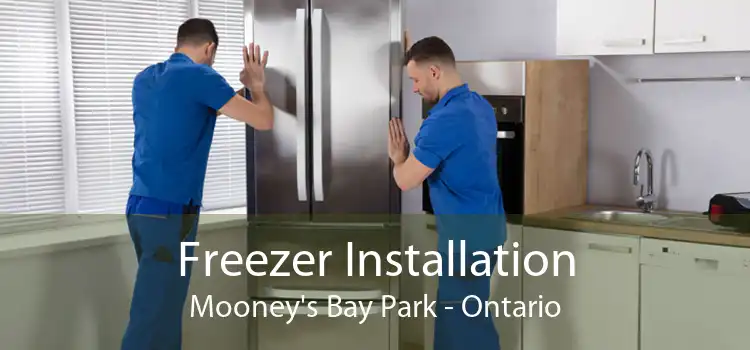 Freezer Installation Mooney's Bay Park - Ontario
