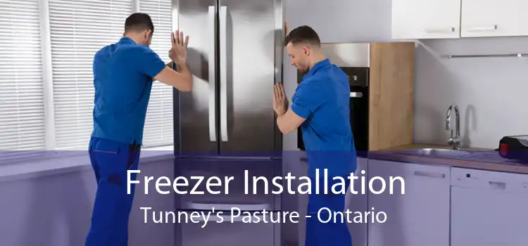 Freezer Installation Tunney's Pasture - Ontario