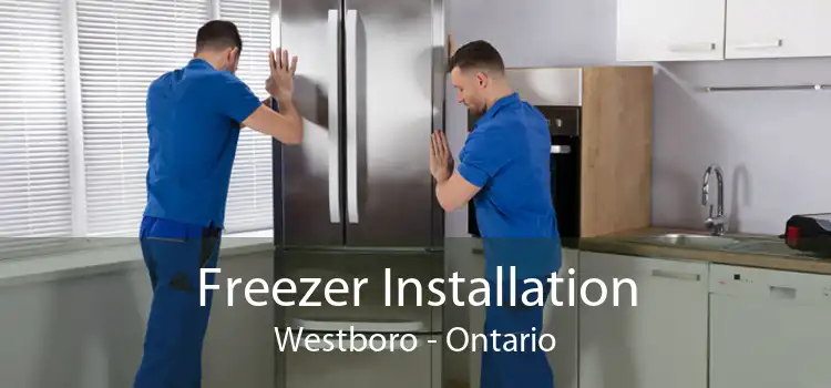 Freezer Installation Westboro - Ontario