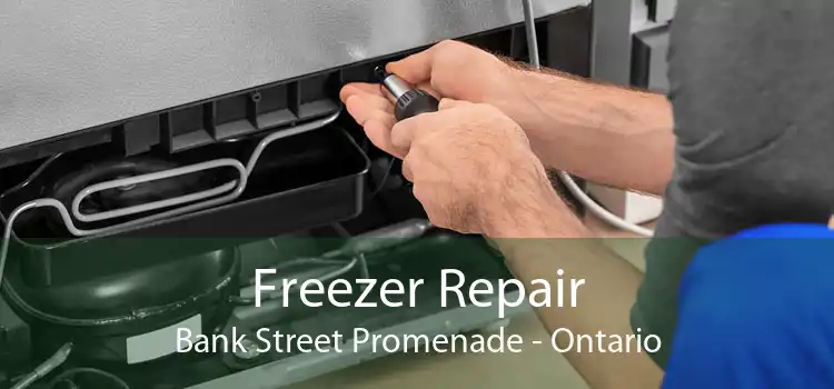 Freezer Repair Bank Street Promenade - Ontario