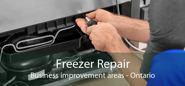 Freezer Repair Business improvement areas - Ontario