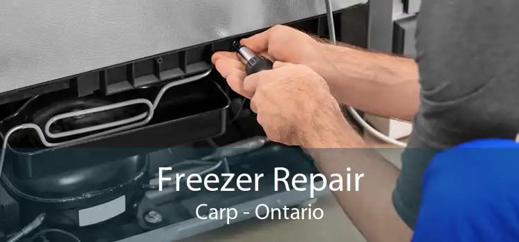 Freezer Repair Carp - Ontario