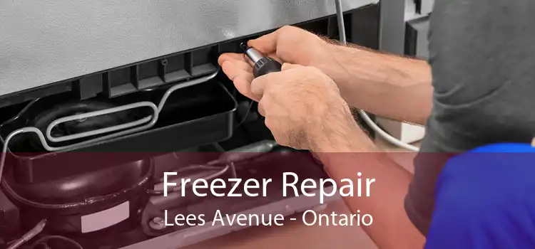 Freezer Repair Lees Avenue - Ontario