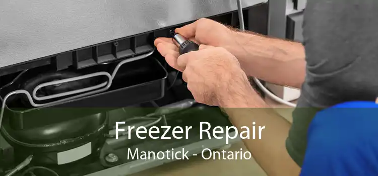 Freezer Repair Manotick - Ontario