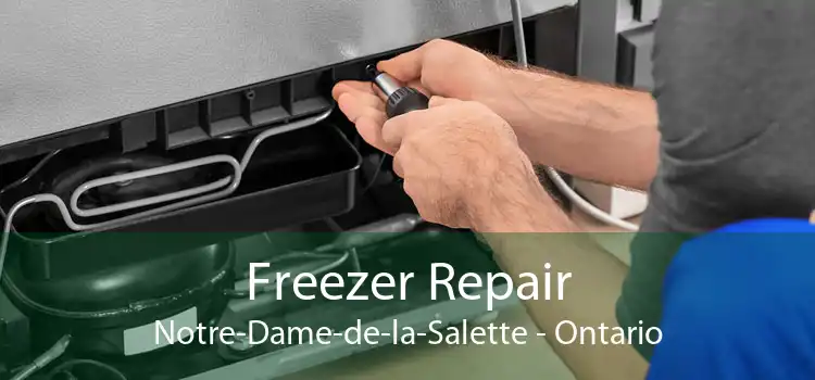 Freezer Repair Notre-Dame-de-la-Salette - Ontario