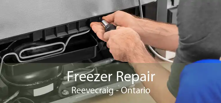Freezer Repair Reevecraig - Ontario