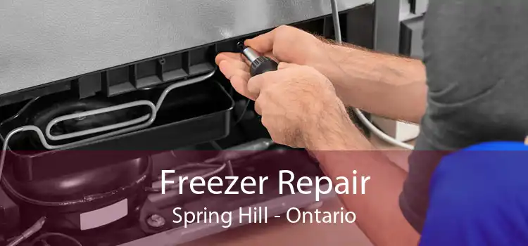 Freezer Repair Spring Hill - Ontario