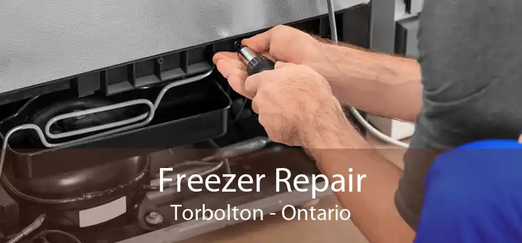 Freezer Repair Torbolton - Ontario