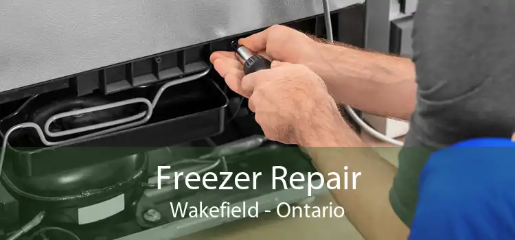 Freezer Repair Wakefield - Ontario