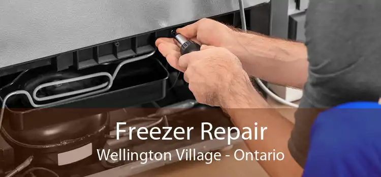 Freezer Repair Wellington Village - Ontario