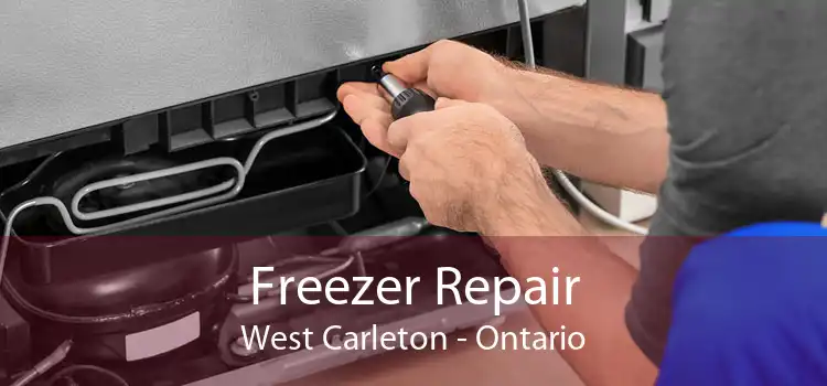 Freezer Repair West Carleton - Ontario