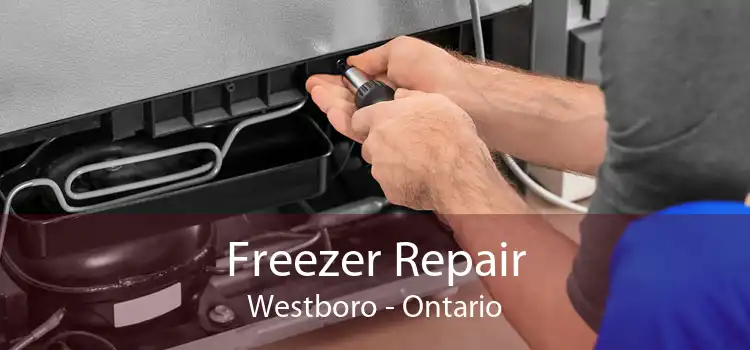 Freezer Repair Westboro - Ontario