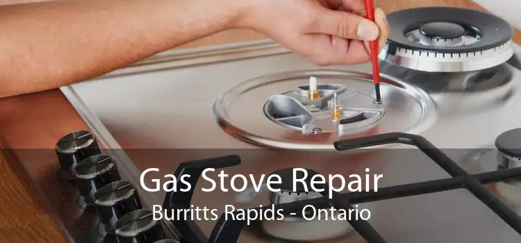 Gas Stove Repair Burritts Rapids - Ontario