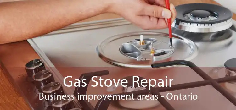 Gas Stove Repair Business improvement areas - Ontario
