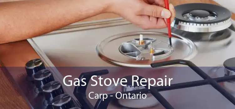 Gas Stove Repair Carp - Ontario