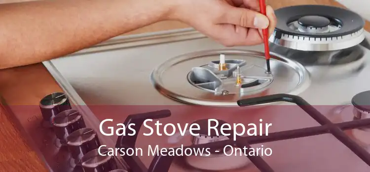 Gas Stove Repair Carson Meadows - Ontario