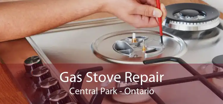 Gas Stove Repair Central Park - Ontario