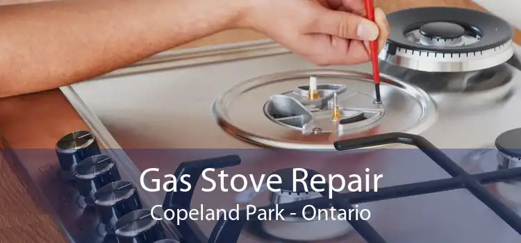 Gas Stove Repair Copeland Park - Ontario