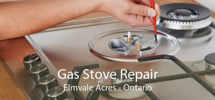 Gas Stove Repair Elmvale Acres - Ontario
