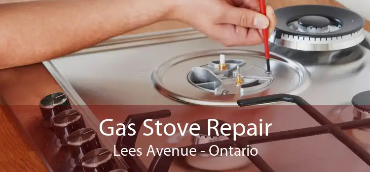 Gas Stove Repair Lees Avenue - Ontario