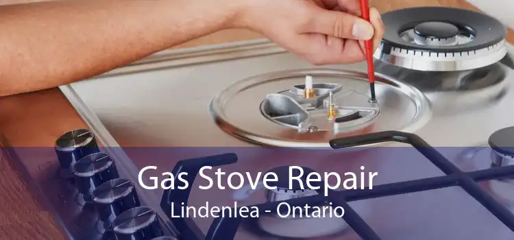 Gas Stove Repair Lindenlea - Ontario