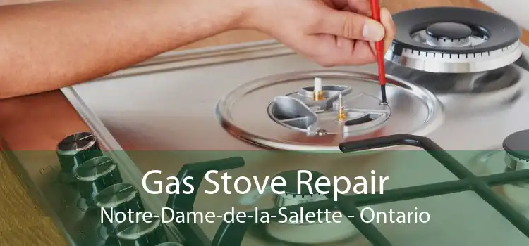 Gas Stove Repair Notre-Dame-de-la-Salette - Ontario
