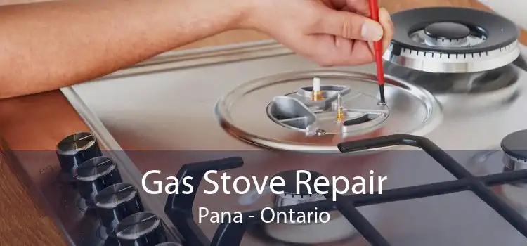 Gas Stove Repair Pana - Ontario