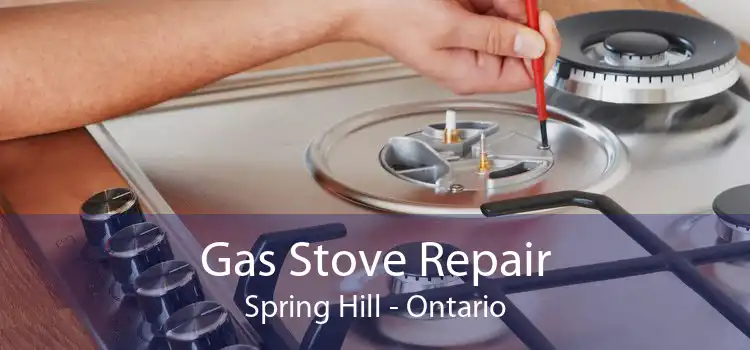Gas Stove Repair Spring Hill - Ontario